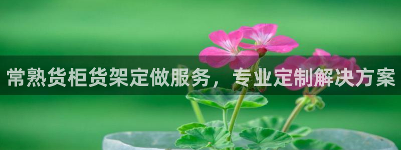 杏运汽车