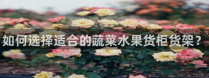 杏运体育怎么样