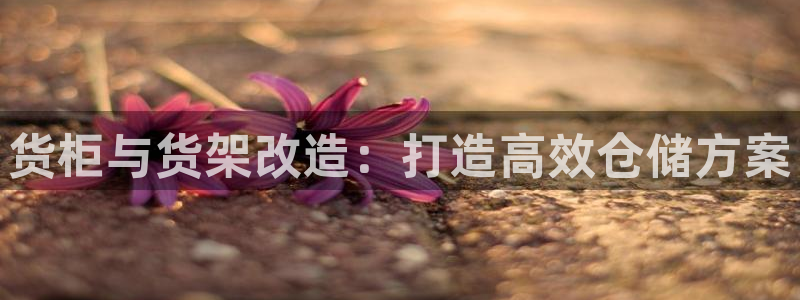 杏运相伴