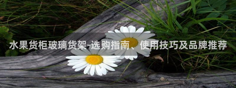 杏运体育官方网址
