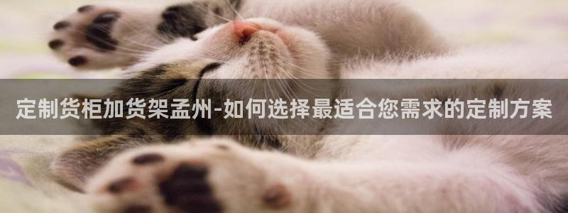 杏运汽车招商