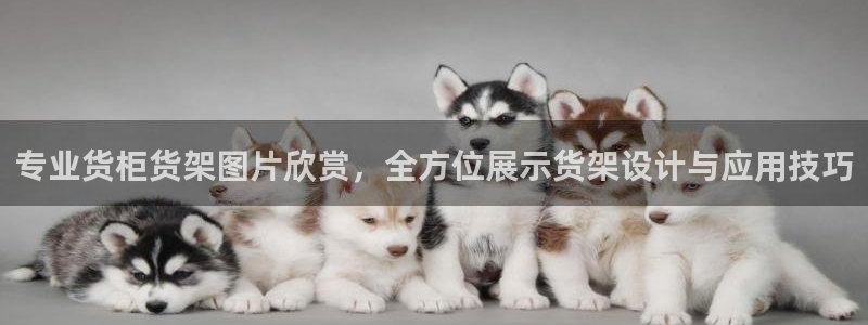 杏运娱乐