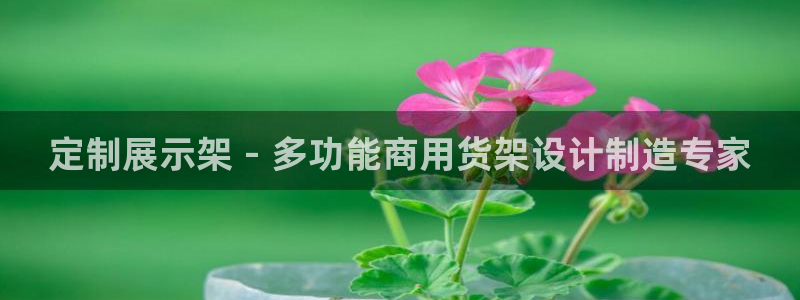 杏运注册账号
