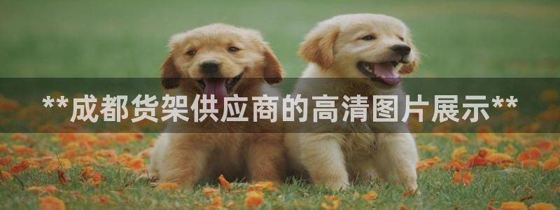 杏运平台官方网站
