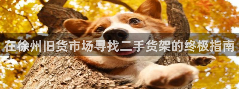 杏运注册平台