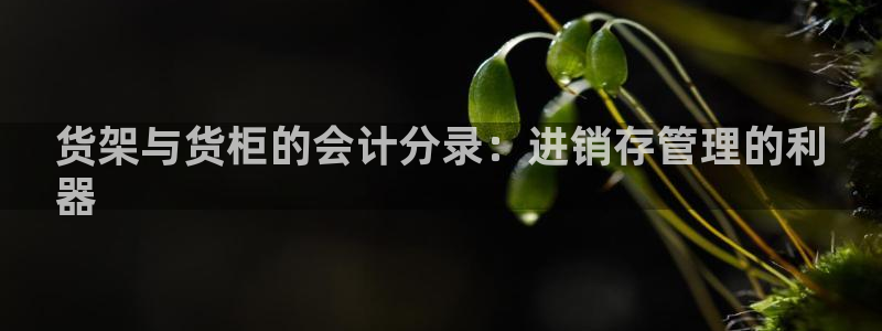 杏运体育app