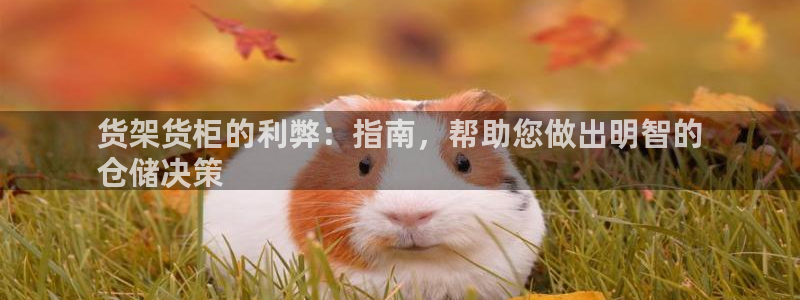 杏运体育官方网址登录