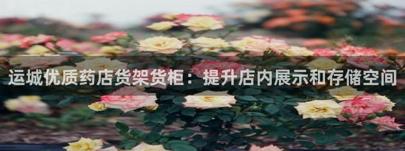 杏运体育app