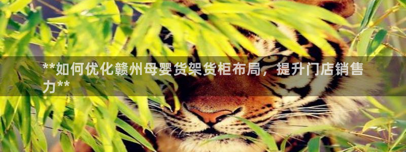 杏运体育怎么样