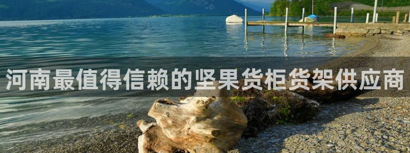 杏运新能源
