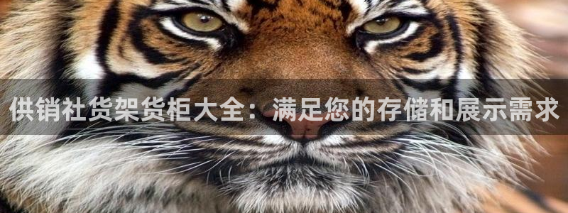 杏运平台注册登录