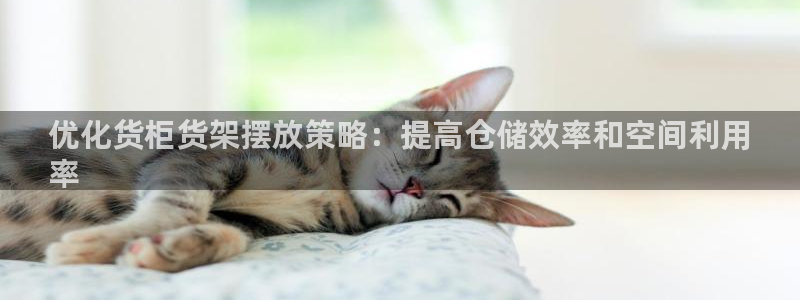 杏运体育app