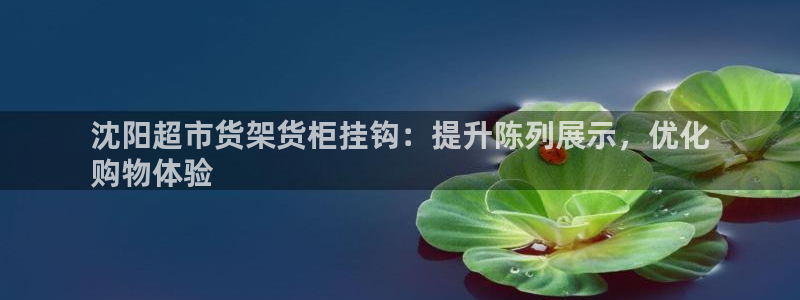 杏运汽车招商