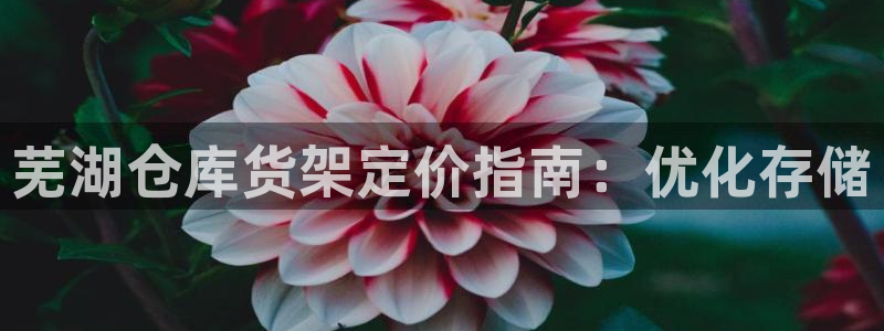 杏运体育
