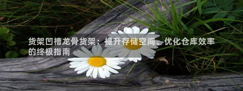 杏运注册账号