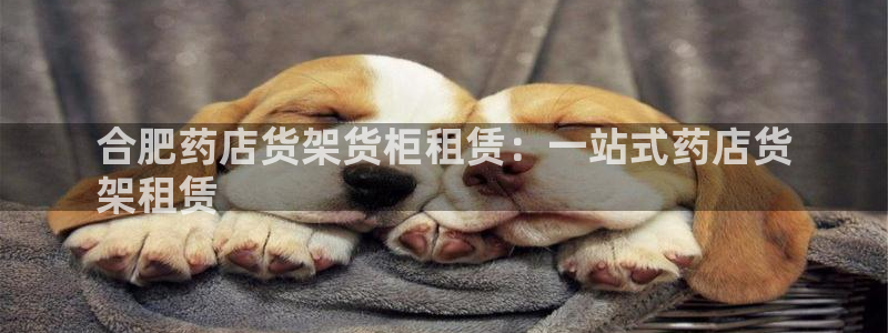 杏运登录