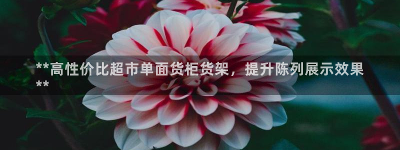 杏运平台官网
