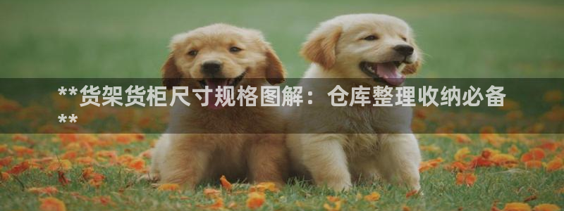 杏运平台注册