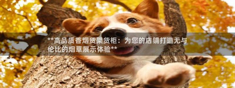 杏运平台招商