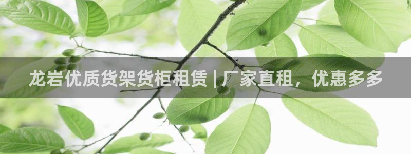 杏运汽车招商