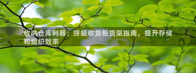 杏运体育网