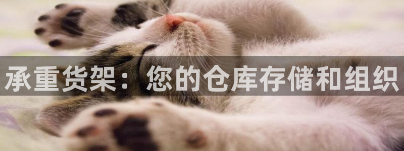 杏运注册平台