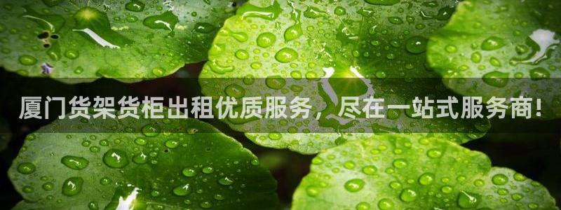 杏运新能源