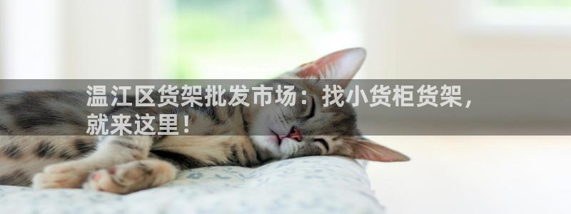 杏运体育官网