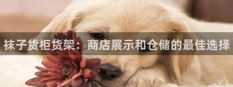 杏运体育